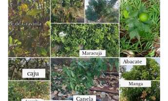 Imagem 5: Chácara Petrolina de Goiás