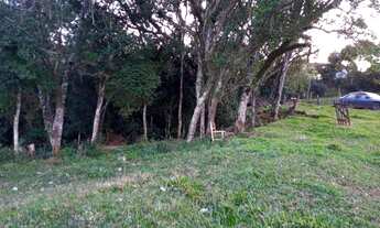 Imagem 4: TERRENO EM FAZENDA FIALHO - TAQUARA