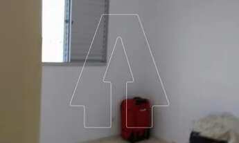 Imagem 3: Araçatuba - Apartamento - Umuarama