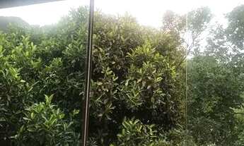 Imagem 6: Casa 200 metros quadrados em Santo Andre