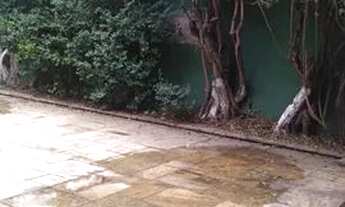 Imagem 4: SOBRADO - LAPA - SP