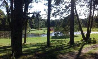 Imagem 5: Sítio no bairro Ulisses de Abreu em Canela!