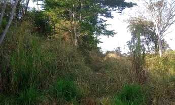 Imagem 3: Marimbá - Sítio de 8.000m² - R$690.000,00 - Aceita imóveis