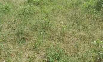 Imagem 3: Lote Santa Paula II Excelente Investimento ligue