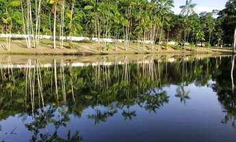 Imagem: Fazenda 55 hectares documentada a 16km do