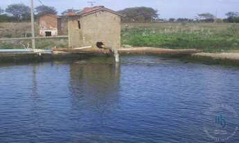 Imagem 6: Fazenda para Venda em Irecê, JOÃO DOURADO, 4 dormitórios, 2 suítes, 5 banheiros, 10 vagas