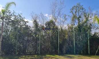 Imagem 5: GENESIS 02 - LINDO TERRENO - VISTA PARA A MATA - LEVE ACLIVE - 490,00 M²