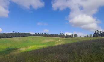 Imagem 5: 03cn-1OS0DU0 Terreno / lote com venda por R$45.000