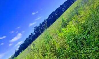 Imagem 6: 03cn-1OS0DU0 Terreno / lote com venda por R$45.000