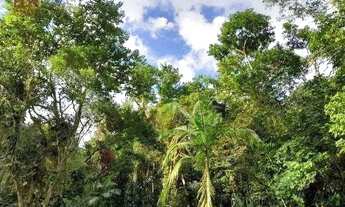 Imagem: Terreno à venda, 26000 m² por R$ 900.000,00