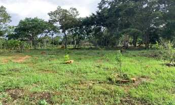 Imagem 5: Lugar super tranquilo, chácara de 4 mil metros, Jaboticatubas (Temos varias opções)