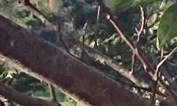 Imagem: Casa kitnet em Búzios/Cabo Frio