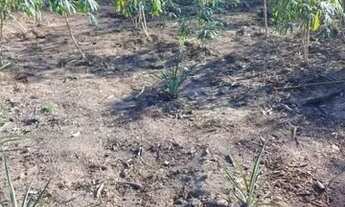 Imagem 6: Vende se chácara perto do banho Paraisópolis