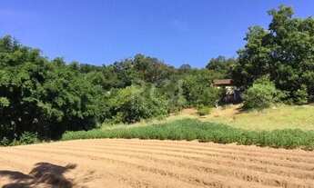 Imagem 6: Area para Venda - 9500m², 0 dormitórios, Vila Nova