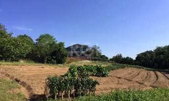 Imagem 7: Area para Venda - 9500m², 0 dormitórios, Vila Nova