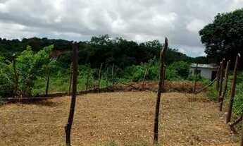 Imagem 2: Vendo um terreno 128 metro quadrados em Jaboatão velho