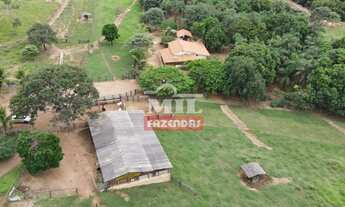 Imagem 3: FAZENDA A VENDA 32 ALQUEIRES (154,88 HA) EM CALDAS NOVAS - GO