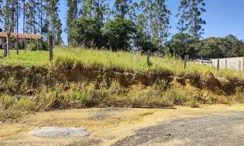 Imagem: Chácara no bairro do cercado