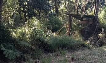 Imagem 2: Vendo chácara na Br 277 em sjp