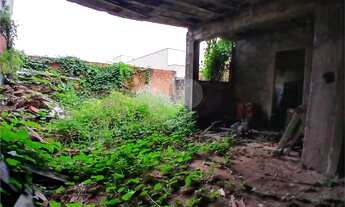 Imagem 7: Terreno à venda em Vila Invernada - SP