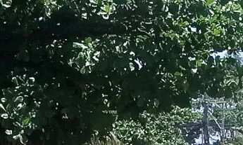 Imagem 3: Espaço para Temporada - Apenas 50 metros da praia!