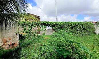 Imagem: TERRENO PLANO - R. RICARDO DE ARAUJO BRAGA