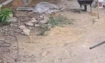 Imagem 2: Casa no lado do formosa da Augusto Montenegro