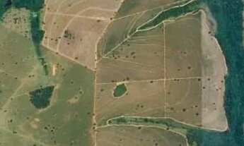 Imagem 3: ÁREA RURAL COM PLANTIO DE CANA-DE-AÇÚCAR 20 ALQUEIRES