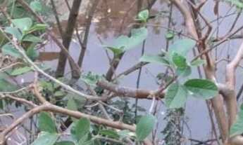 Imagem 3: Chácara 22mil m2 dentro de Anápolis só R$ 1.500.000