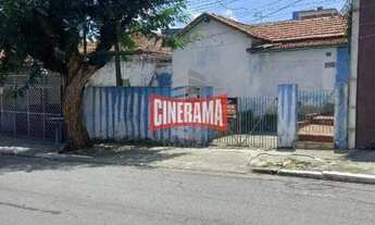 Imagem 2: Terreno a venda no Bairro Nova Gerti em São Caetano do Sul