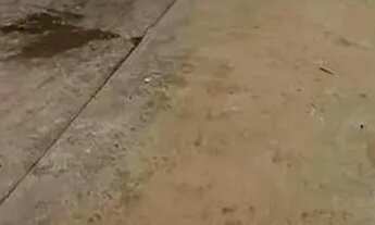 Imagem 2: More no Papagaio! Entrada a partir de R$ 20 Mil