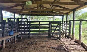 Imagem 4: Imóvel para venda com 172000 metros quadrados em Zona Rural - Teresina de Goiás - GO