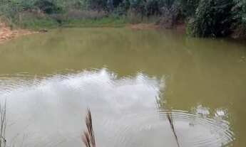 Imagem 6: Fazenda 75 hectares