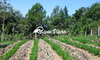 Imagem 2: TERRENO RESIDENCIAL em SANTA ISABEL - SP, CHACARAS REUNIDAS CANADA