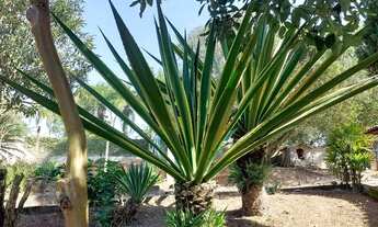 Imagem 7: Fazenda/Sítio/Chácara para venda possui 12000 metros quadrados com 4 quartos