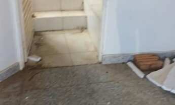 Imagem 4: Vendo Galpão Galpão / depósito com 5 vagas na garagem