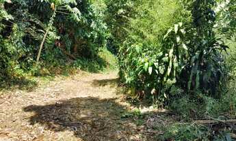 Imagem 3: Sítio / Chácara para Venda em Rio de Janeiro, Barra de Guaratiba, 4 dormitórios, 2 suítes