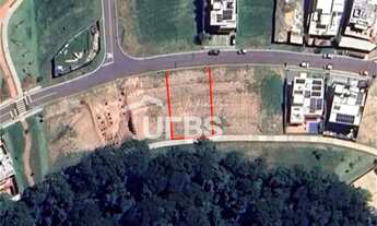 Imagem 4: LOTE PLATEAU DOR PRIVILEGE - FUNDO DE MATA