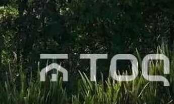 Imagem: Genesis 2 - Mobiliada com vista cinematográfica