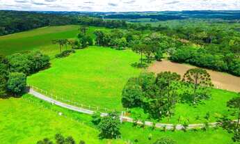 Imagem: Lapa, Fazendinha ou Haras, 8 alqueires ou
