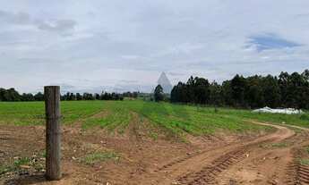 Imagem 2: Sítio à venda, 242000 m² - Sarapuí/SP