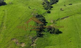 Imagem 5: Sítio com 22 alqueires para pecuária na região de Porangaba-SP