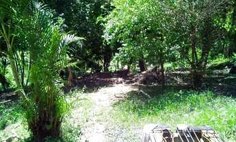 Imagem 3: Mini chácara Fazenda / sítio com venda por R$250.000