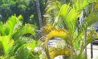 Imagem 2: Excelente casa na Barra da Tijuca