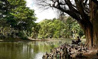 Imagem 3: Terreno 1250m - a 4km do centro