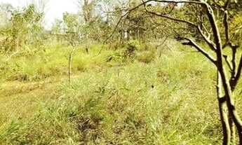 Imagem 2: Sitio de mil metros casa simples, mas aconchegante, Jaboticatubas (Temos varias opções)