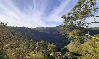 Imagem: Terreno 1250m - a 4km do centro