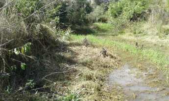 Imagem 6: Linda fazendinha a 6 km do centro da cidade, Baldim (Temos varias opções)