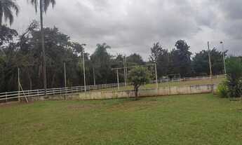 Imagem 6: Chácara de 8.000 m2