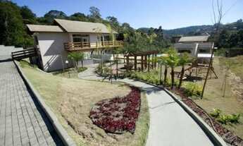 Imagem 4: Barbada - Maravilhoso - Oportunidade Única